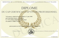 Het voorbeeld van een Frans certificaat voor beroepsbekwaamheid